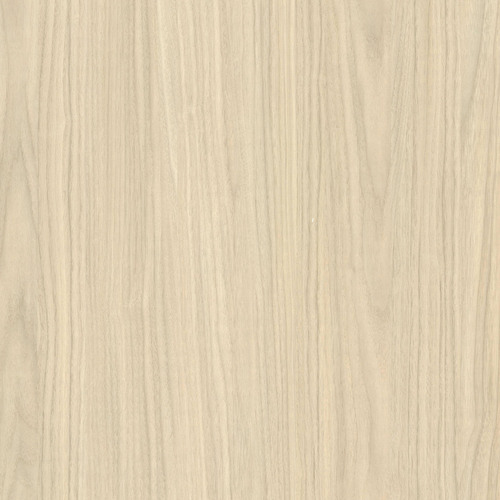 艾克森胡桃-白榆